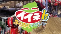イイネ！みちのくマガジン